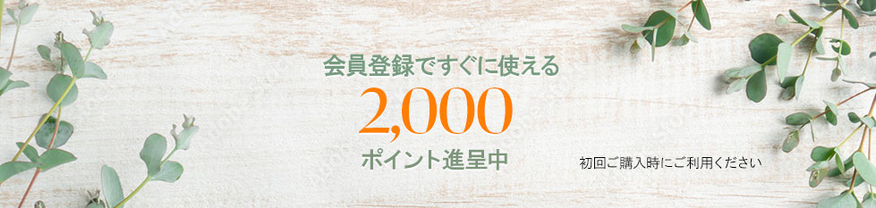会員登録ですぐに使える2000ポイントを進呈中です。