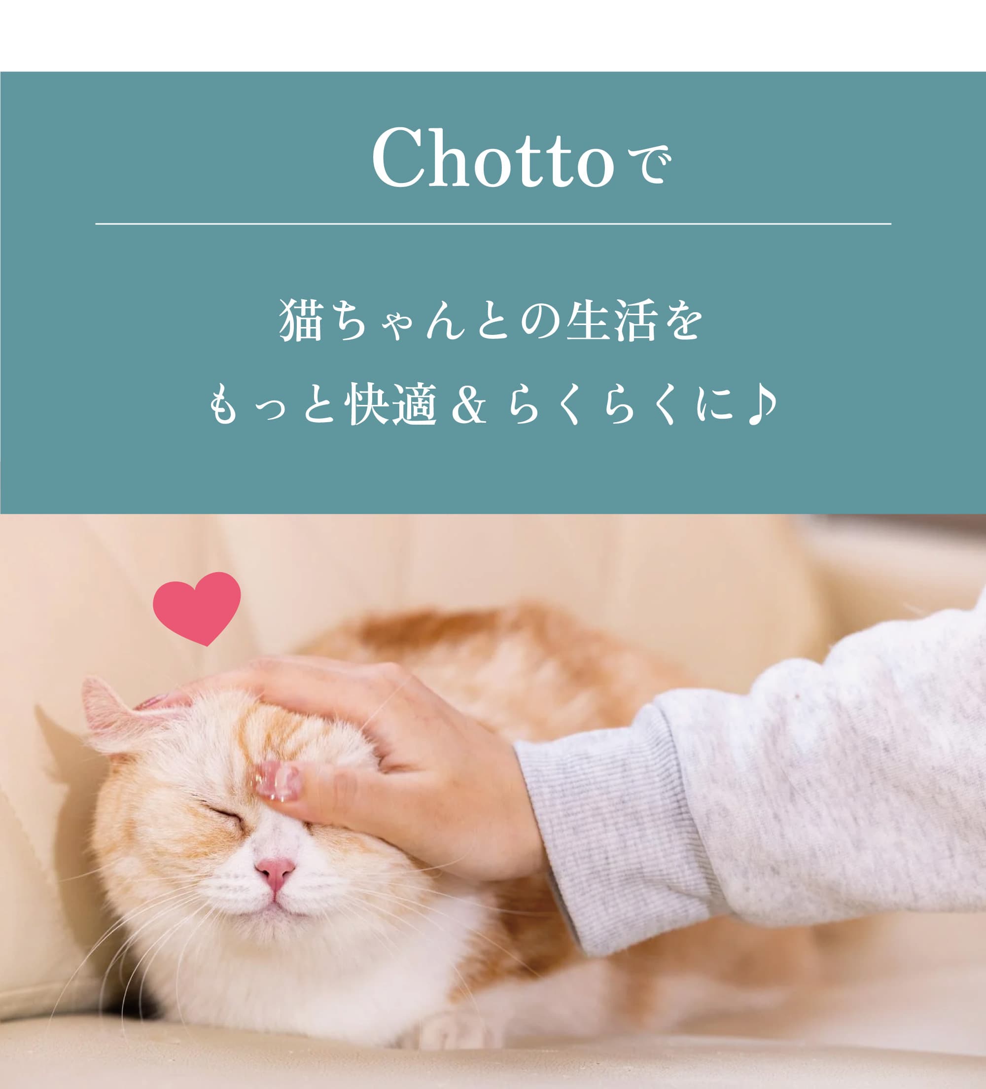 NT-CL1 (猫砂 Chotto チョット)