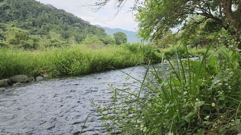 あの野営地でLAGOM開封！最初の焚き火料理はやっぱり◯◯