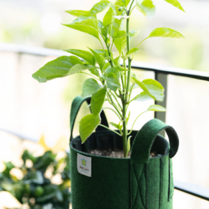 アグリポーチ Sサイズ 容量:約10L グリーン